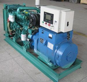 蒙山发电机出租